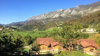 Aula de la Miel de los Picos de Europa - Opiniones