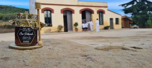 Mejores apicultores en Cabrera de Mar