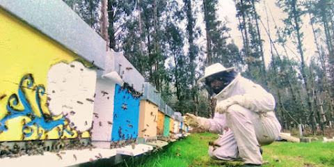 Mejores apicultores en Culleredo