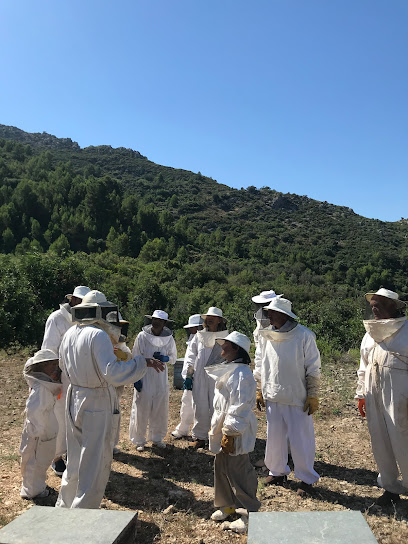 Mejores apicultores en Ráfol de Almunia