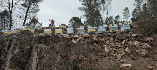 Mejores apicultores en Gueral de Abaixo, Cartelle