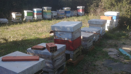 Mejores apicultores en La Vall