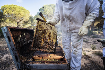 Mejores apicultores en Vejer de la Frontera